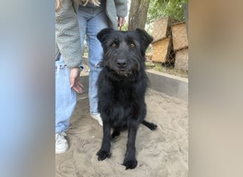 Hanife - will diesen Winter nicht zittern!