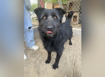 Hanife - will diesen Winter nicht zittern!