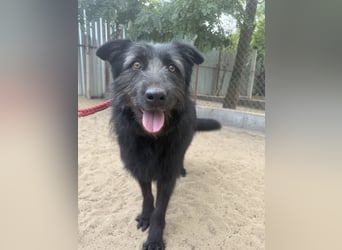 Hanife - will diesen Winter nicht zittern!