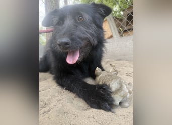 Hanife - will diesen Winter nicht zittern!