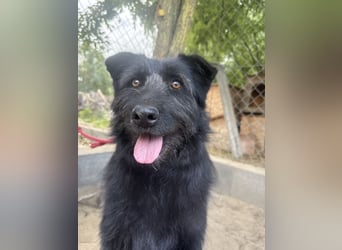 Hanife - will diesen Winter nicht zittern!