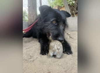 Hanife - will diesen Winter nicht zittern!