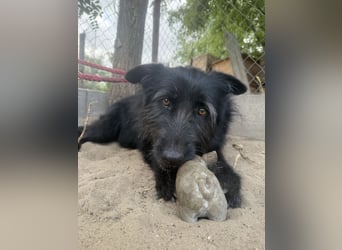 Hanife - will diesen Winter nicht zittern!