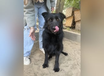 Hanife - will diesen Winter nicht zittern!