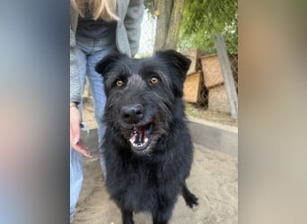 Hanife - will diesen Winter nicht zittern!