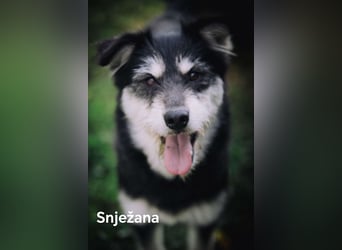 Snježana, Freude pur