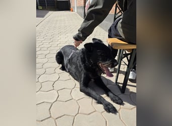 Tommy sucht das Abenteuer