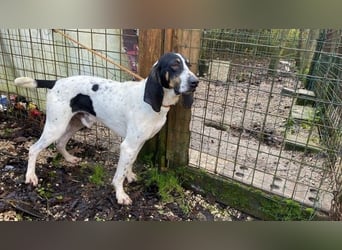 Valentin - Personaltrainer sucht Lebensstellung