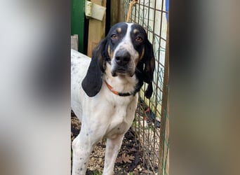 Valentin - Personaltrainer sucht Lebensstellung