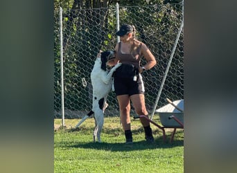 Valentin - Personaltrainer sucht Lebensstellung