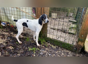 Valentin - Personaltrainer sucht Lebensstellung