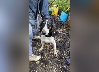 Valentin - Personaltrainer sucht Lebensstellung