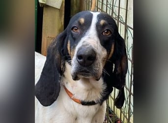 Valentin - Personaltrainer sucht Lebensstellung