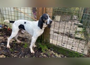 Valentin - Personaltrainer sucht Lebensstellung