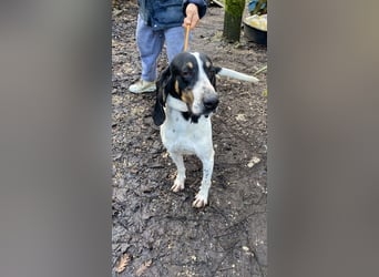 Valentin - Personaltrainer sucht Lebensstellung