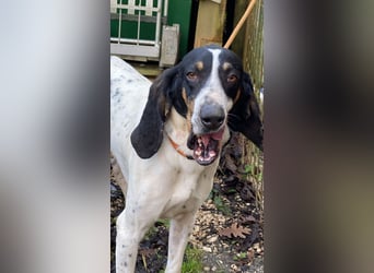 Valentin - Personaltrainer sucht Lebensstellung