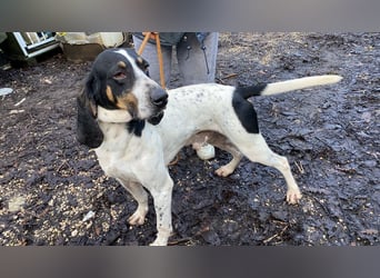 Valentin - Personaltrainer sucht Lebensstellung