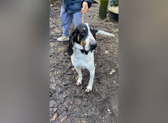 Valentin - Personaltrainer sucht Lebensstellung