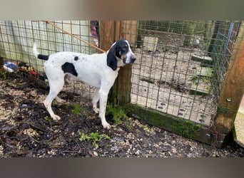 Valentin - Personaltrainer sucht Lebensstellung