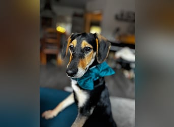 Ginevra: Ein Schatz wie aus dem Bilderbuch