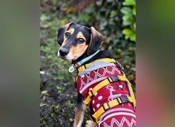 Ginevra: Ein Schatz wie aus dem Bilderbuch