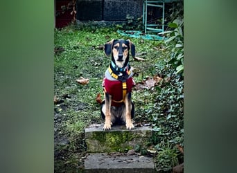 Ginevra: Ein Schatz wie aus dem Bilderbuch