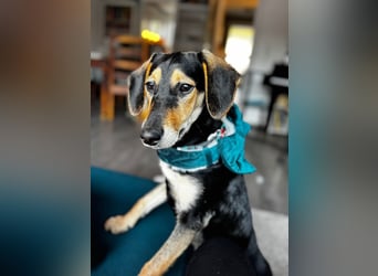 Ginevra: Ein Schatz wie aus dem Bilderbuch