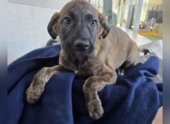 Esedra: bereit für die eigene Familie