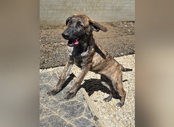 Esedra: bereit für ihre eigene Familie