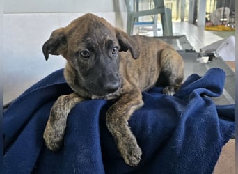 Esedra: bereit für ihre eigene Familie