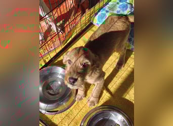 Simona: süße Zuckerschnute