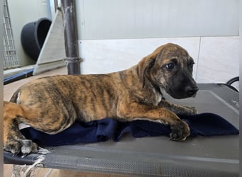 Ethan: bereit für seine eigene Familie