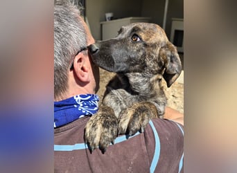 Esedra: bereit für ihre eigene Familie