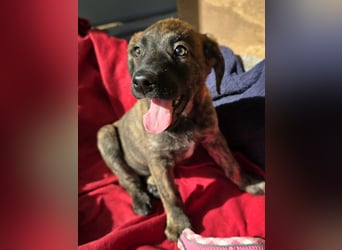 Esedra: bereit für ihre eigene Familie