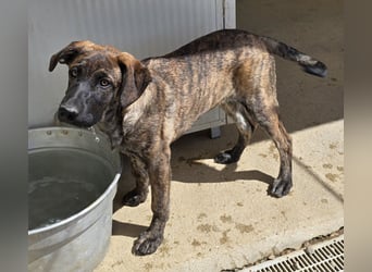 Esedra: bereit für ihre eigene Familie