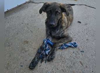 Esedra: bereit für ihre eigene Familie