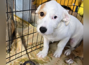 Giovanna: kleine Zuckerschnute