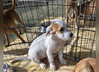 Giovanna: kleine Zuckerschnute