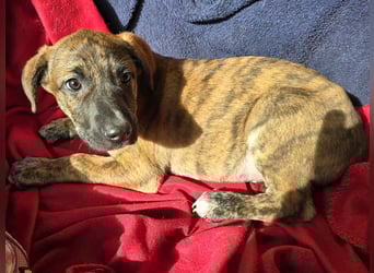 Ethan: bereit für seine eigene Familie