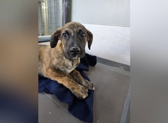 Ethan: bereit für seine eigene Familie