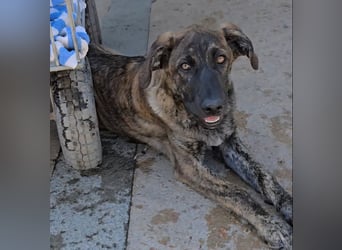 Esedra: bereit für ihre eigene Familie