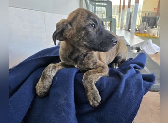 Esedra: bereit für die eigene Familie