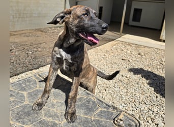 Esedra: bereit für ihre eigene Familie