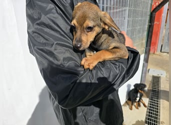 Nico: mit Mama und Papa ins Tierhem