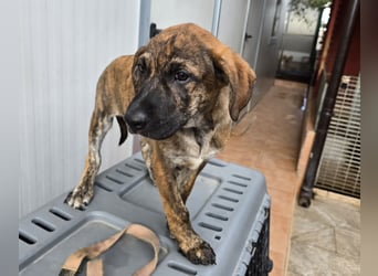 Ethan: bereit für seine eigene Familie