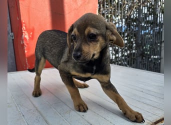 Nico: mit Mama und Papa ins Tierhem