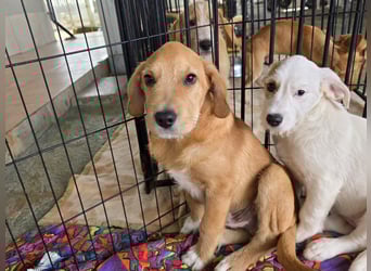 Giovanna: wünscht sich Liebe und Geborgenheit