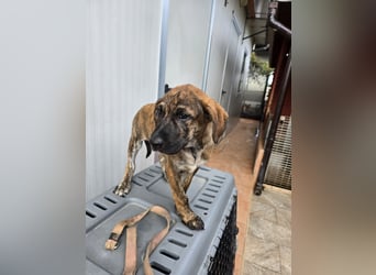 Esedra: bereit für eine eigene Familie