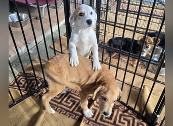 Giovanna: wünscht sich Liebe und Geborgenheit