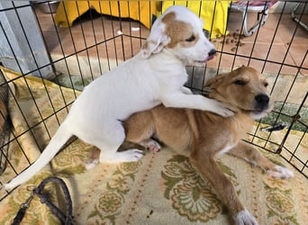 Giovanna: kleine Zuckerschnute